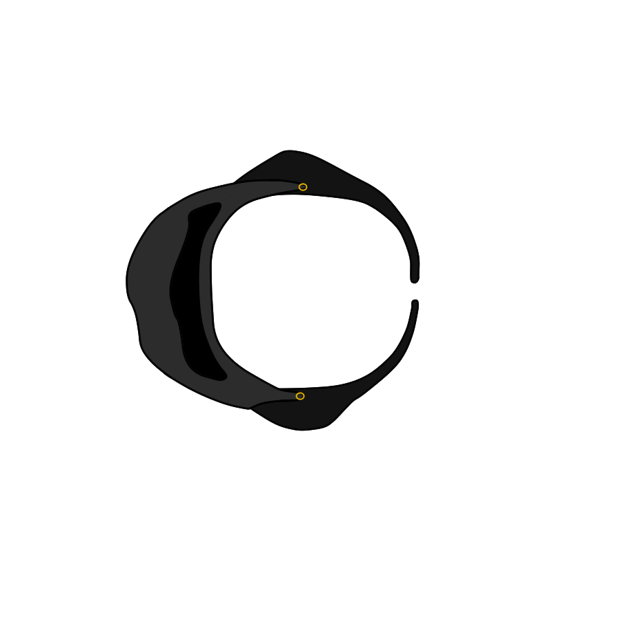 HætteTrøjeSort - Kopi